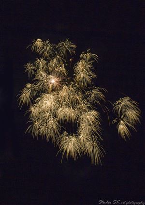 Click for large image